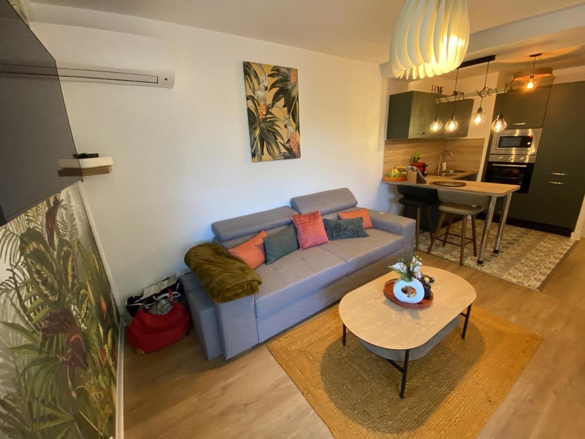 Appartement Le Jungle : T2 Avec Jardin Et Jacuzzi à Blagnac Extérieur photo